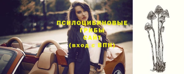 прущие крисы Кукмор