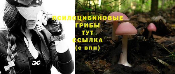 прущие крисы Кукмор