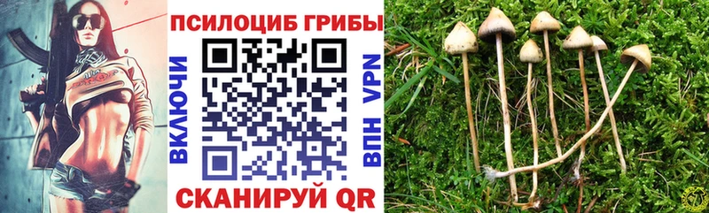 Галлюциногенные грибы Psilocybine cubensis  Купить где  Алупка 